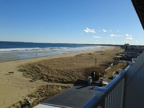 Looking south from the deck.