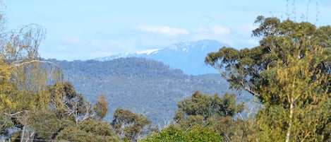 Mt Bulla view from front yard