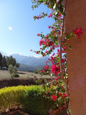 View from the front door