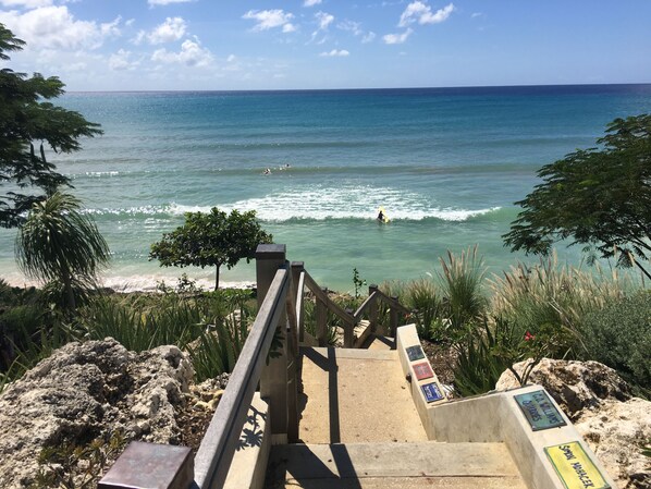 Cotton Bay.steps lead down to the water.Just 100 meters away from the apartment.
