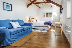Light, airy and spacious studio room with double bed and sofabed