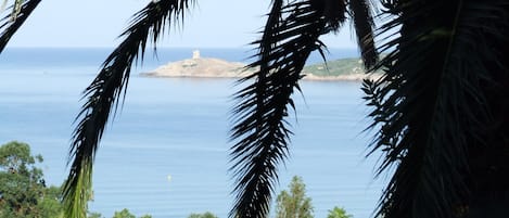 vue de l'appartement sur la tour d'omigna