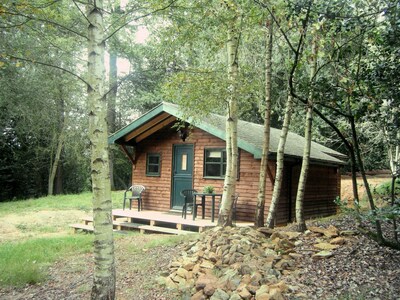 Five Pines - cabaña de bosque apacible y apartada en Surrey Hills