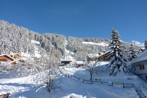 Sports d’hiver