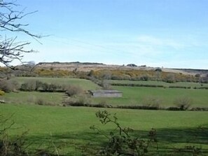 View from garden