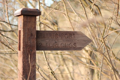 The House on the Hill: a farm cottage in the Scottish Borders