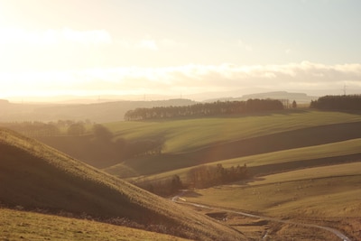 The House on the Hill: a farm cottage in the Scottish Borders