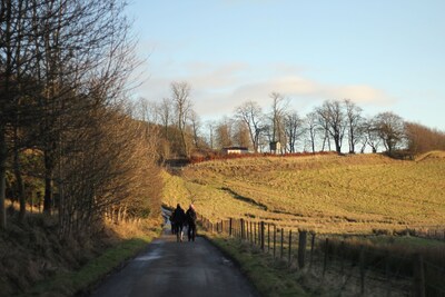 The House on the Hill: a farm cottage in the Scottish Borders