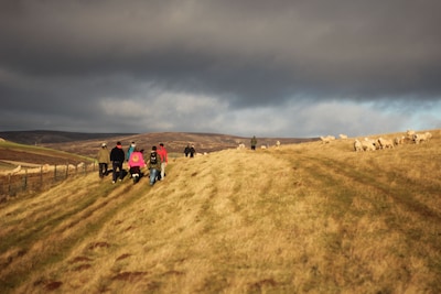 The House on the Hill: a farm cottage in the Scottish Borders