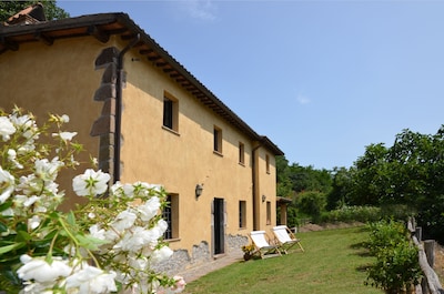 Panorama sugerente de Le Coste (Orvieto), jardín privado, piscina en la granja