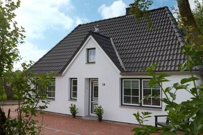 Am ehemaligen Seedeich im Naturschutzgebiet Katinger Watt, Nähe St. Peter-Ording