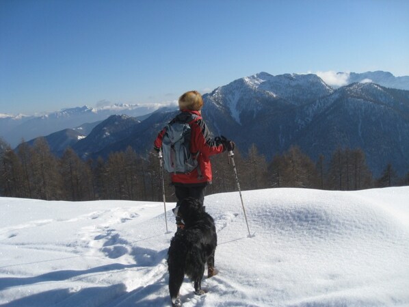 Snow and ski sports