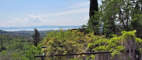 A Cappuccino or Campari unter the Pergola and then a swim to the lake