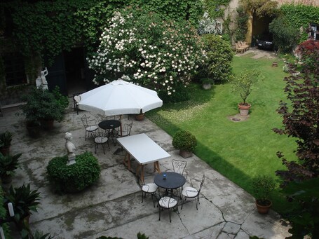 the garden