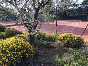 Sport court