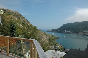 View from the deck out the Narrows.