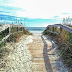 The path to paradise