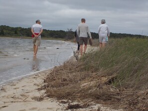 nearby Waquoit Bay
