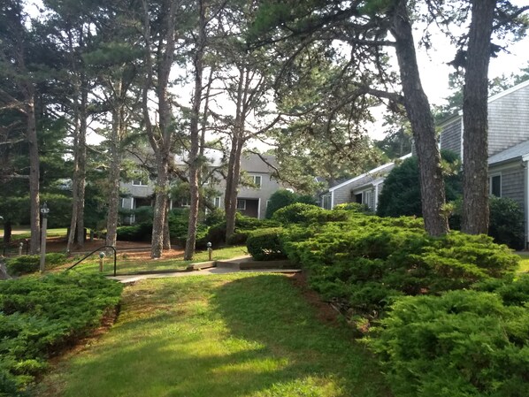 Southcape Resort Condo II section-wooded units