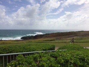 View from property