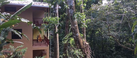 Two decks looking into the canopy full of wildlife!