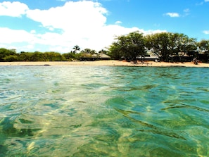 Playa