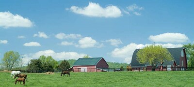 Escape the Pandemic! Plain Outside; Gorgeous Inside; Huge Horse/Cattle Farm