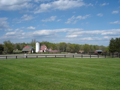 Escape the Pandemic! Plain Outside; Gorgeous Inside; Huge Horse/Cattle Farm