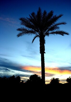 Some of the best sunsets every night in Arizona!