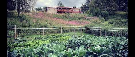 View of Lazy Mountain Hideaway from the vegetable garden