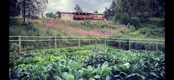 View of Lazy Mountain Hideaway from the vegetable garden