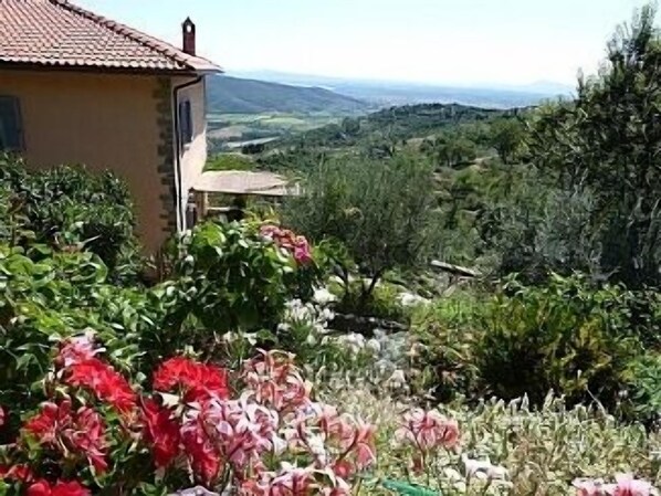 Roses and view from the pool.