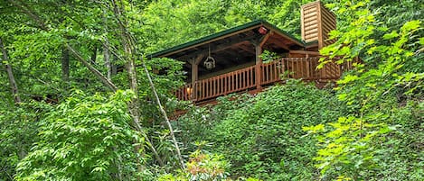 Come stay at our Luxury Logs Cabin if you are ready for some peace and quiet.