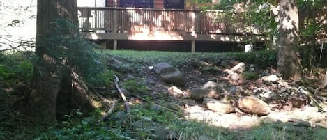 Helton Cabin from creek