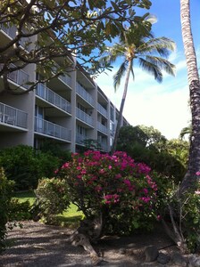 Puako Beach Condominiums, ours is privately owned and we provide hospitality!