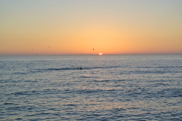 Beautiful sunset from Venice Beach