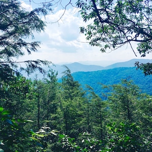 Hip cabin with hot tub, fire pit, creek, nearby hiking, Uber downtown.