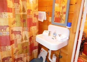 Main floor bathroom