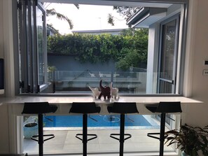 Outdoor breakfast bar overlooking pool