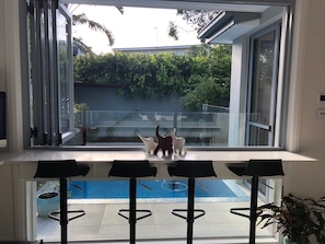 Outdoor breakfast bar overlooking pool