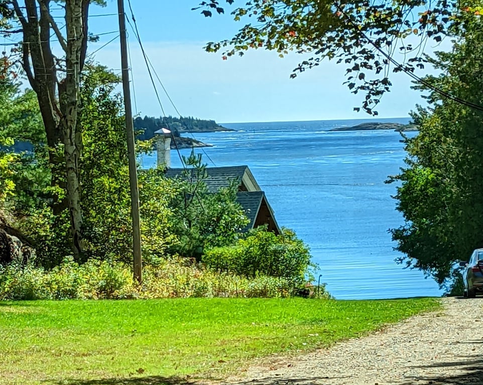 are dogs allowed at fort popham beach