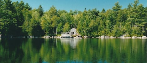 Järvi