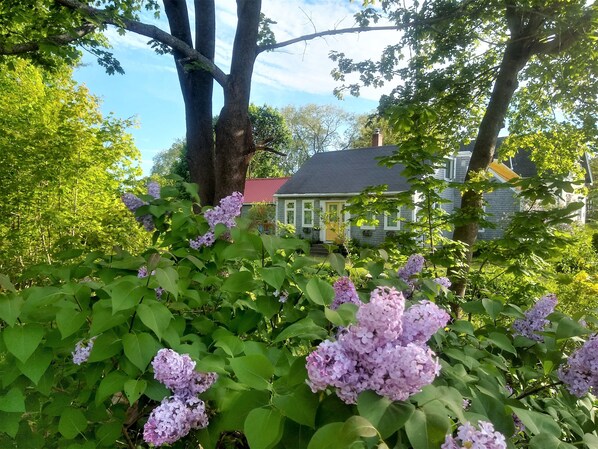 Welcome to The Perch!  An artistic cottage that is walking distance to to town!