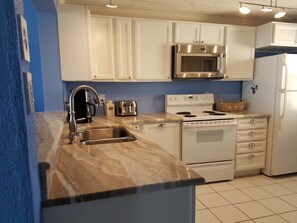 Newly remodeled and well stocked kitchen 