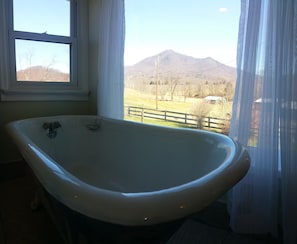 Upstairs Antique Claw Foot Tub with a View!