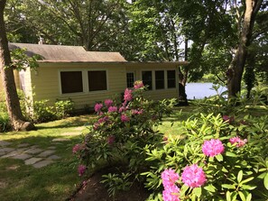 June flowers - cottage is now clad in brown wood