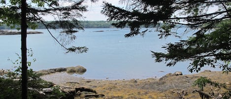 view from the bench at the river - low tide