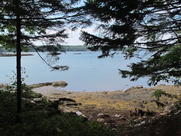 view from the bench at the river - low tide