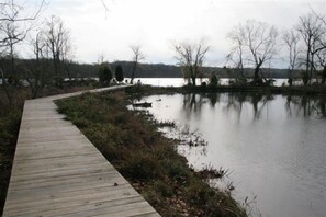 Walkway over tidal pool to pier and Pomonkey Creek