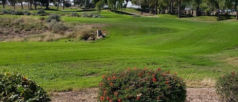 View of Golf Course from Patio